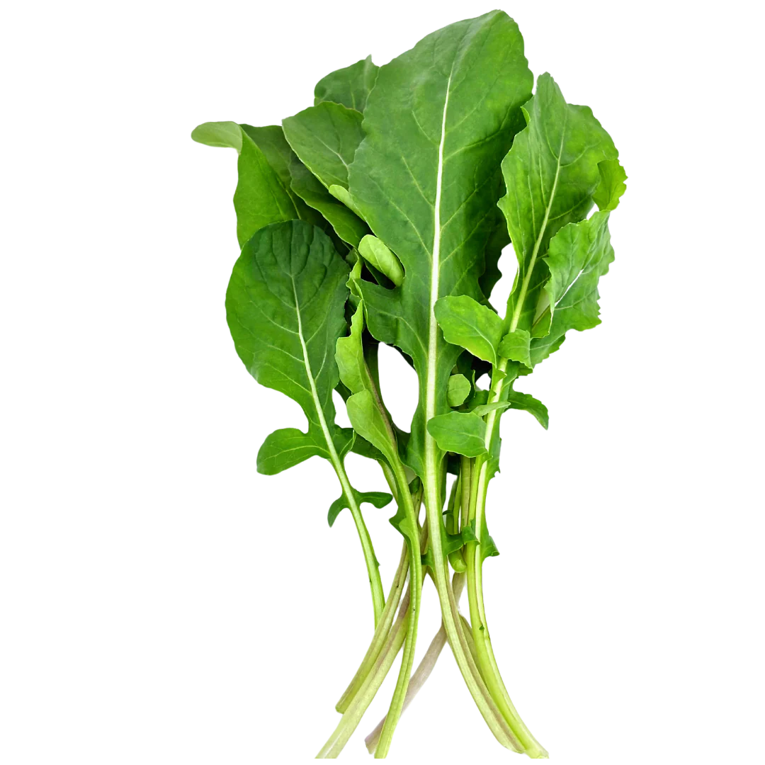 【MiuTech智慧農場】嫩葉芝麻葉 100g｜出貨前兩小時內現摘
