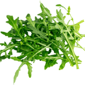 【MiuTech智慧農場】現摘裂葉芝麻葉 50g｜出貨前兩小時內現摘