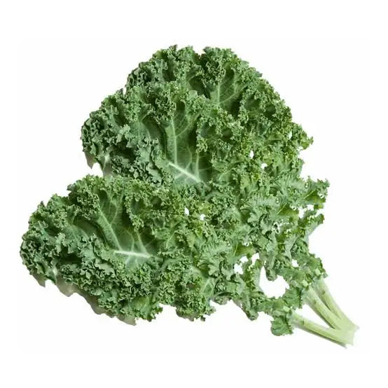 【MiuTech智慧農場】新鮮羽衣甘藍 約160g｜出貨前兩小時內現摘｜無農藥栽培